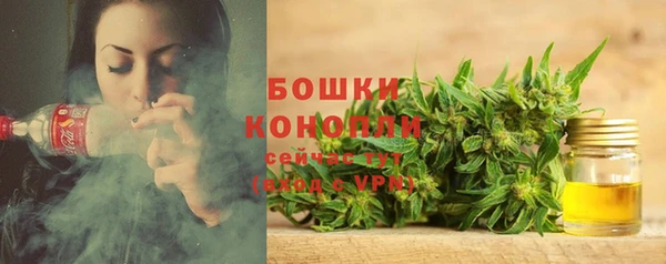 apvp Аркадак