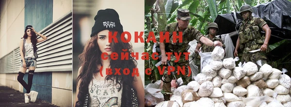 apvp Аркадак