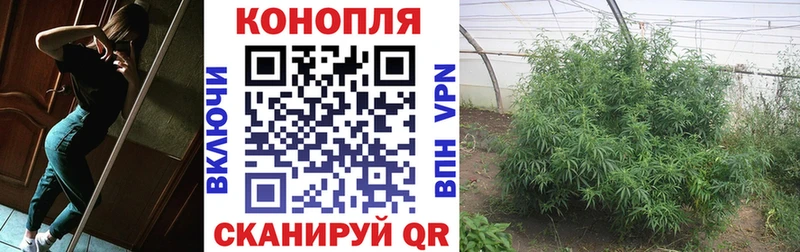 Марихуана MAZAR  как найти   гидра ТОР  Руза 